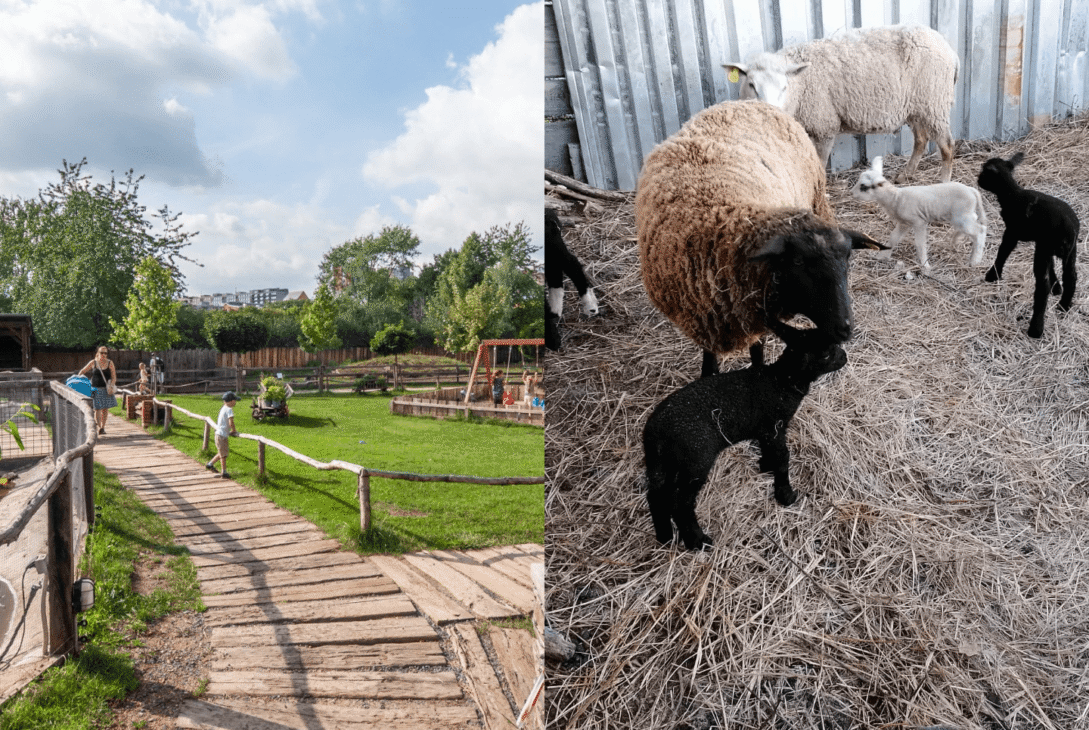 Zoopark Milíčov