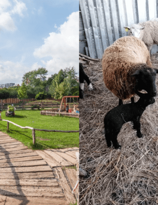 Zoopark Milíčov
