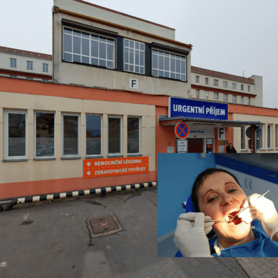 Zubní pohotovost Nový Bor